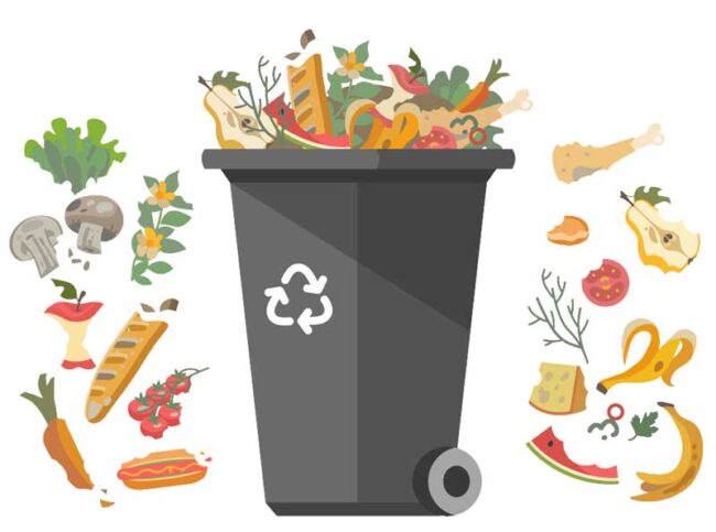 vignette-biodechets